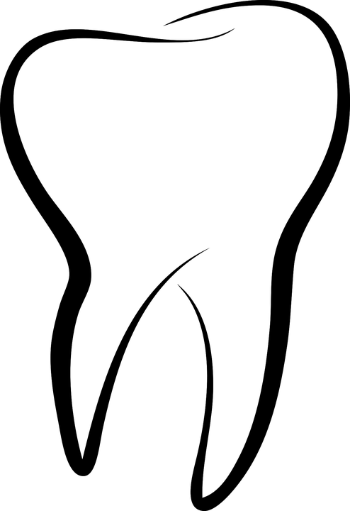Zub